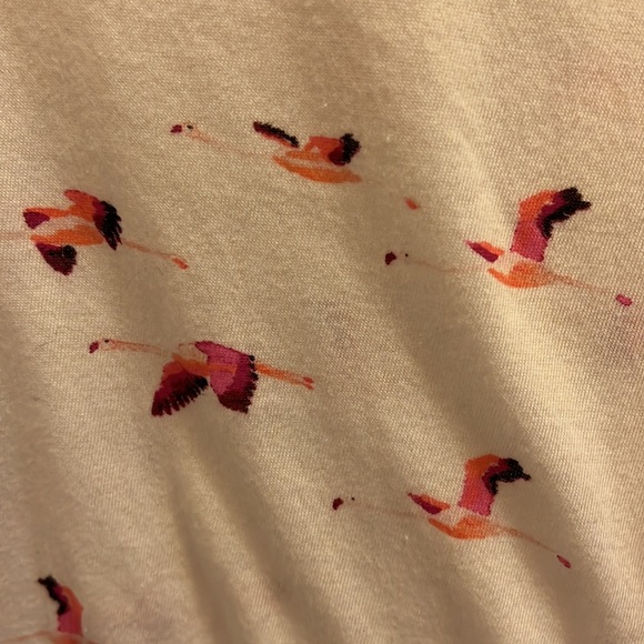 a.n.a., size M t-shirt. - Picture 3 of 3